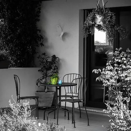 B&B Il Vigneto-2